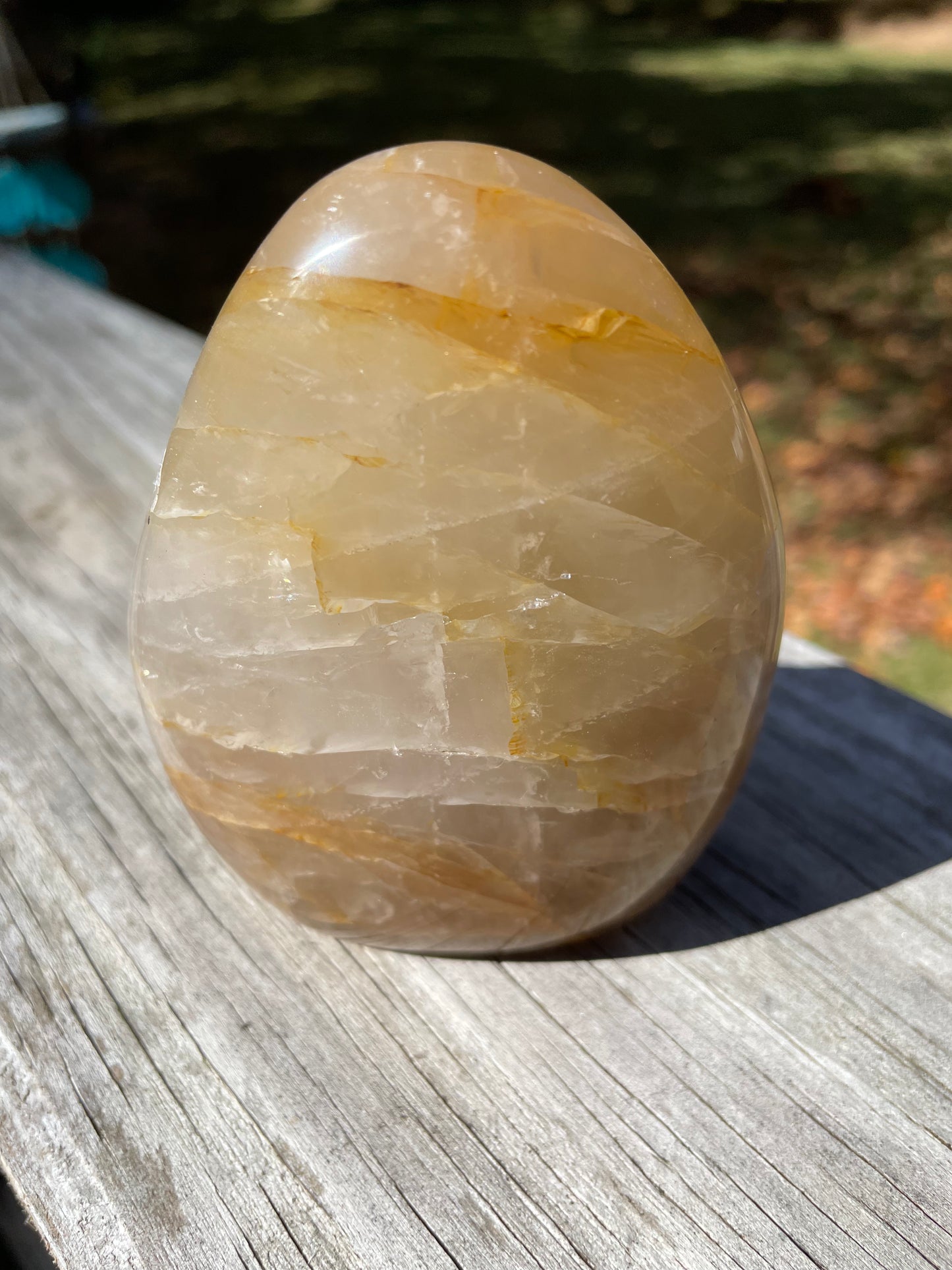 Golden Healer Freeform
