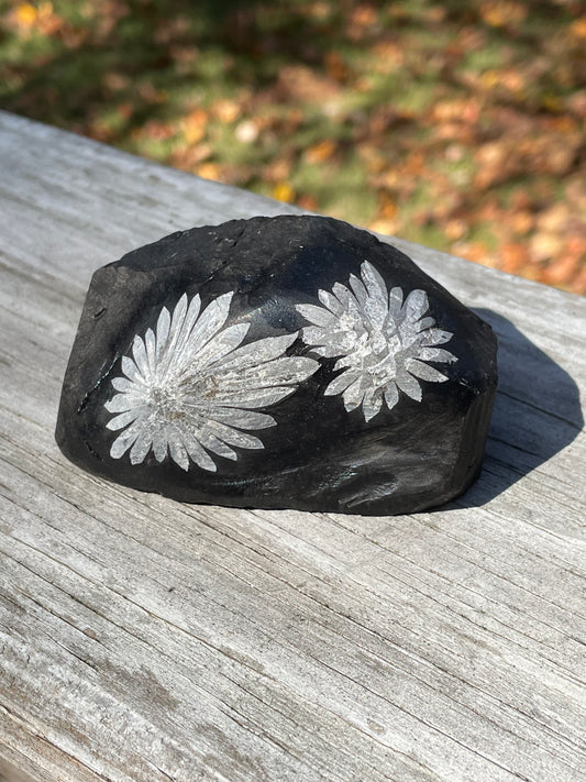 Chrysanthemum Stone
