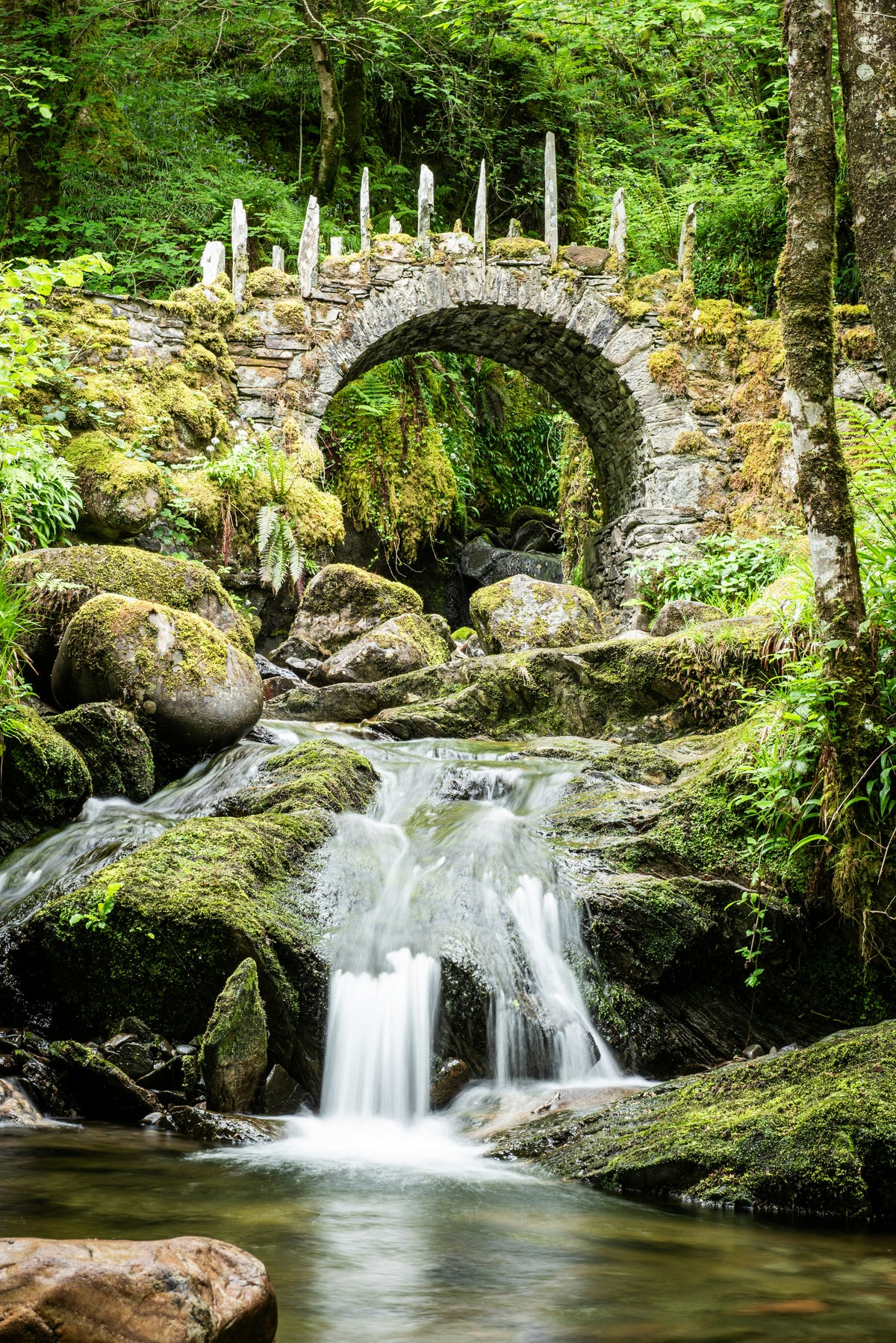 Petals 'n' Feathers - Scotland Experience - May 2027