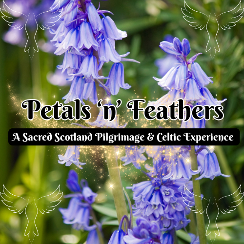 Petals 'n' Feathers - Scotland Experience - May 2027