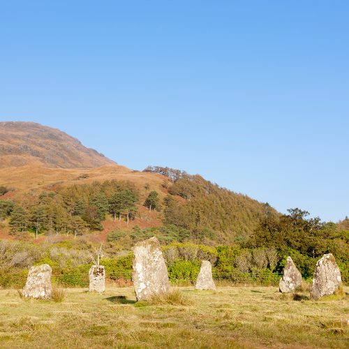 Petals 'n' Feathers - Scotland Experience - May 2027