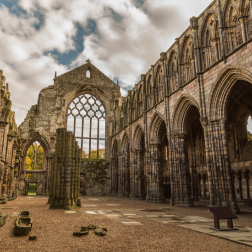 Petals 'n' Feathers - Scotland Experience - May 2027